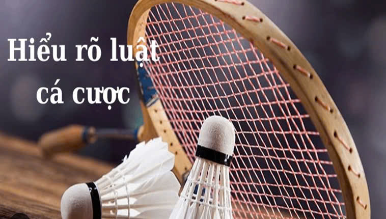 Cách Chơi Cá Cược Cầu Lông Tại SV66 Cho Người Mới Bắt Đầu 2 Cách Chơi Cá Cược Cầu Lông Tại SV66 Cho Người Mới Bắt Đầu